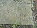 image number DSC03946